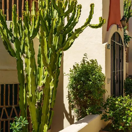 Riviera Charm: 2br Retreat With Terrace Pool * Михас